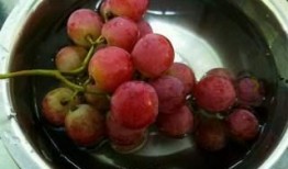 提子网红爆料做美食视频,提子美食视频制作全攻略